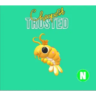 Neon priceless shrimp