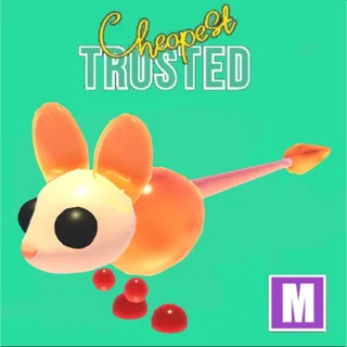 2pcs Jiggly Jerboa Mega