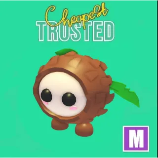 Coconut Friend Mega