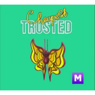 Amber Butterfly Mega