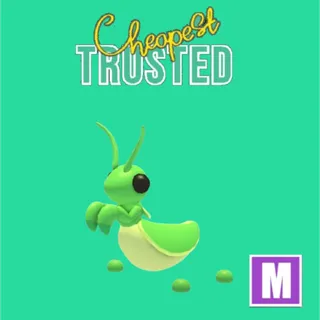 Praying Mantis Mega