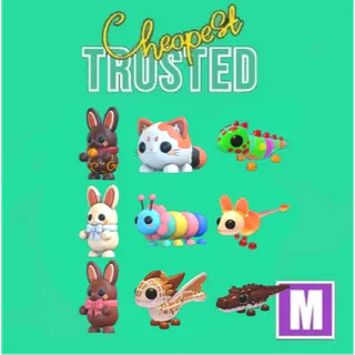 Sugar Festival Mega Bundle