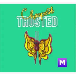 Amber Butterfly Mega