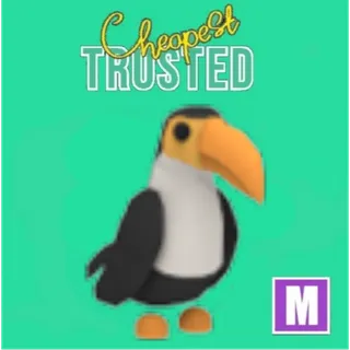 Toucan Mega