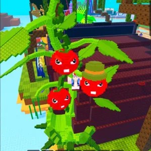 11.2KG huge tomatrio