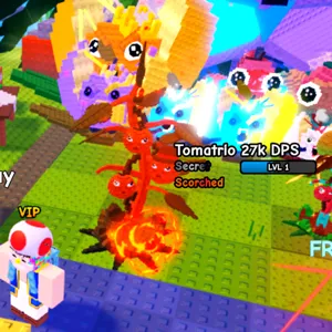 Scorched tomatrio 3kg