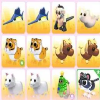 12x PET Bundle