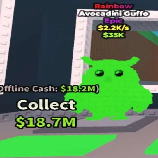 avocadini Guffe Rainbow