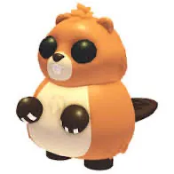 ranger beaver 