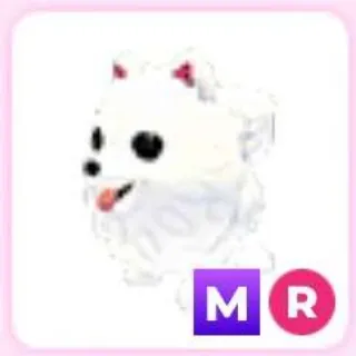 MR Samoyed