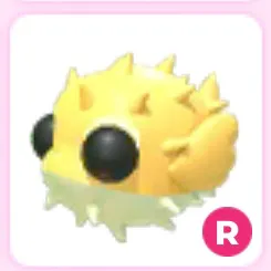 Puffer fish R