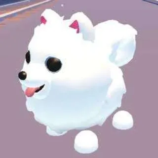 Samoyed