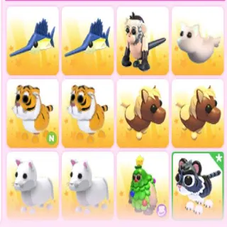 12x PET BUNDLE