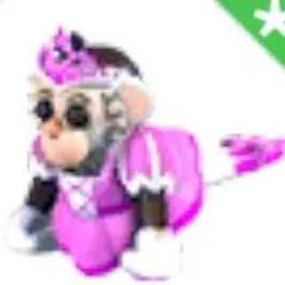 Princess Capuchin Monkey