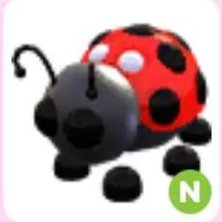 ladybug N
