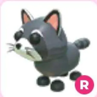 raccoon R