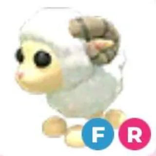 Ram FR (Full Grown)