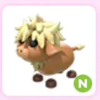 N Highland Cow