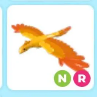 NR Phoenix