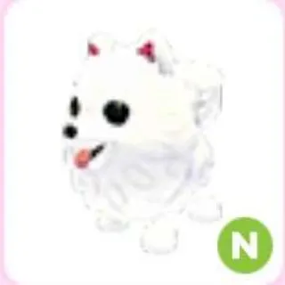 Samoyed N