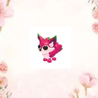dragon fruit Fox