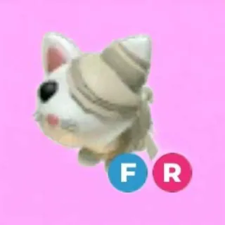 Halloween White Mummy Cat FR
