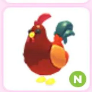 rooster N