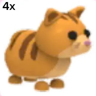 Ginger Cat 4x
