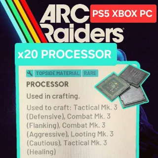 x20 PROCESSOR