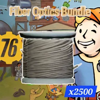 FIBER OPTICS BUNDLE