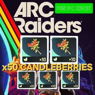 x50 CANDLEBERRIES