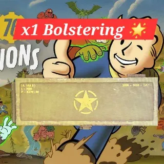 🌟BOLSTERING