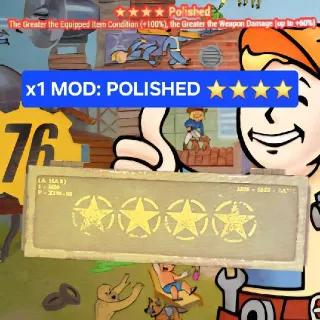 POLISHED ⭐️⭐️⭐️⭐️