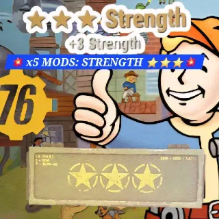 STRENGTH ⭐️⭐️⭐️