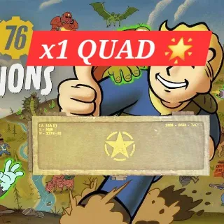 🌟QUAD