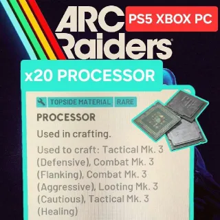 x20 PROCESSOR