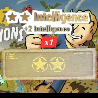 🌟🌟INTELLIGENCE