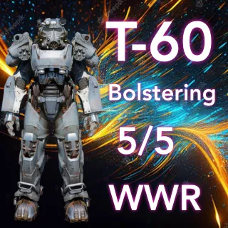 T60 WWR BOLSTERING 