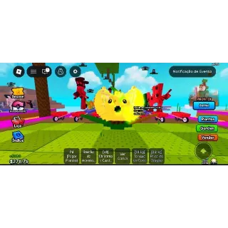 NEON/GOLD KING LIMONE