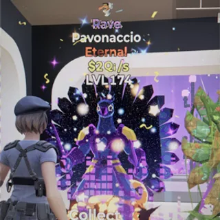 pavonaccio