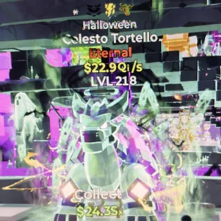 celesto tortello