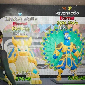 celesto and pavonaccio