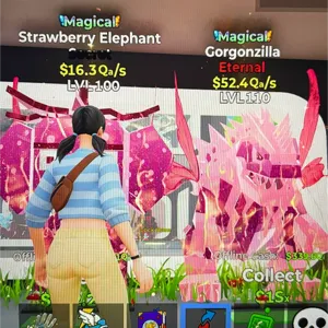 magical bundle