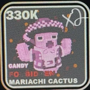 candy mariachi cactus