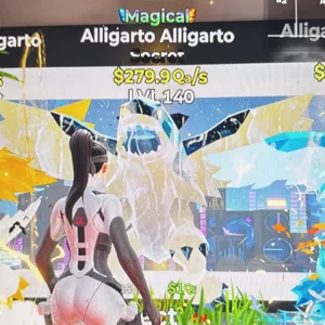alligarto alligarto