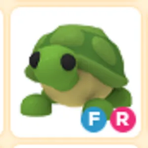 FR turtle