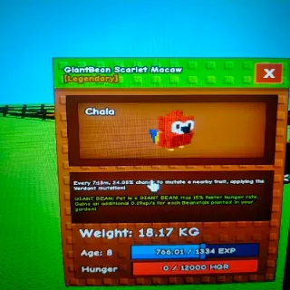 Giantbean Godly Scarlet Macaw (111Kg)