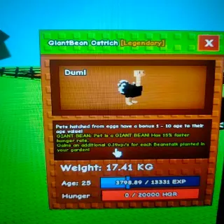 Giantbean Huge Ostrich (54Kg) Grow a Garden