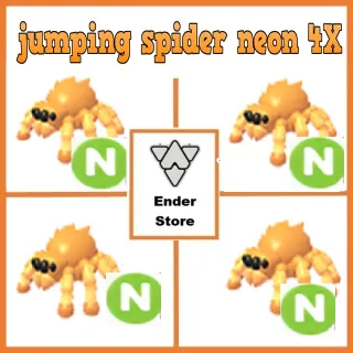 jumping spider neon