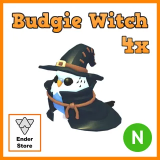 Budgie Witch Neon 4X